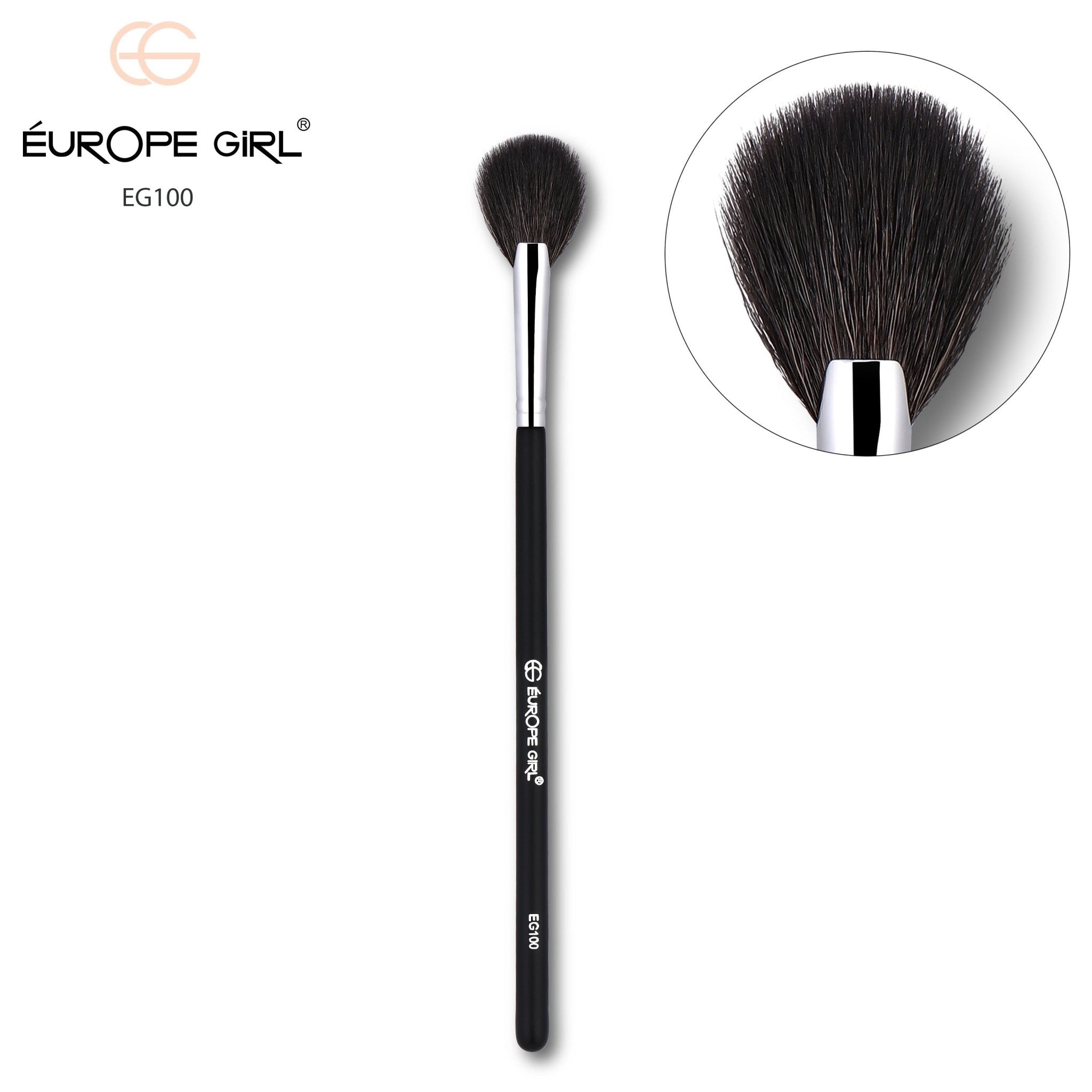 100 Medium Fan Brush / Highlight Brush