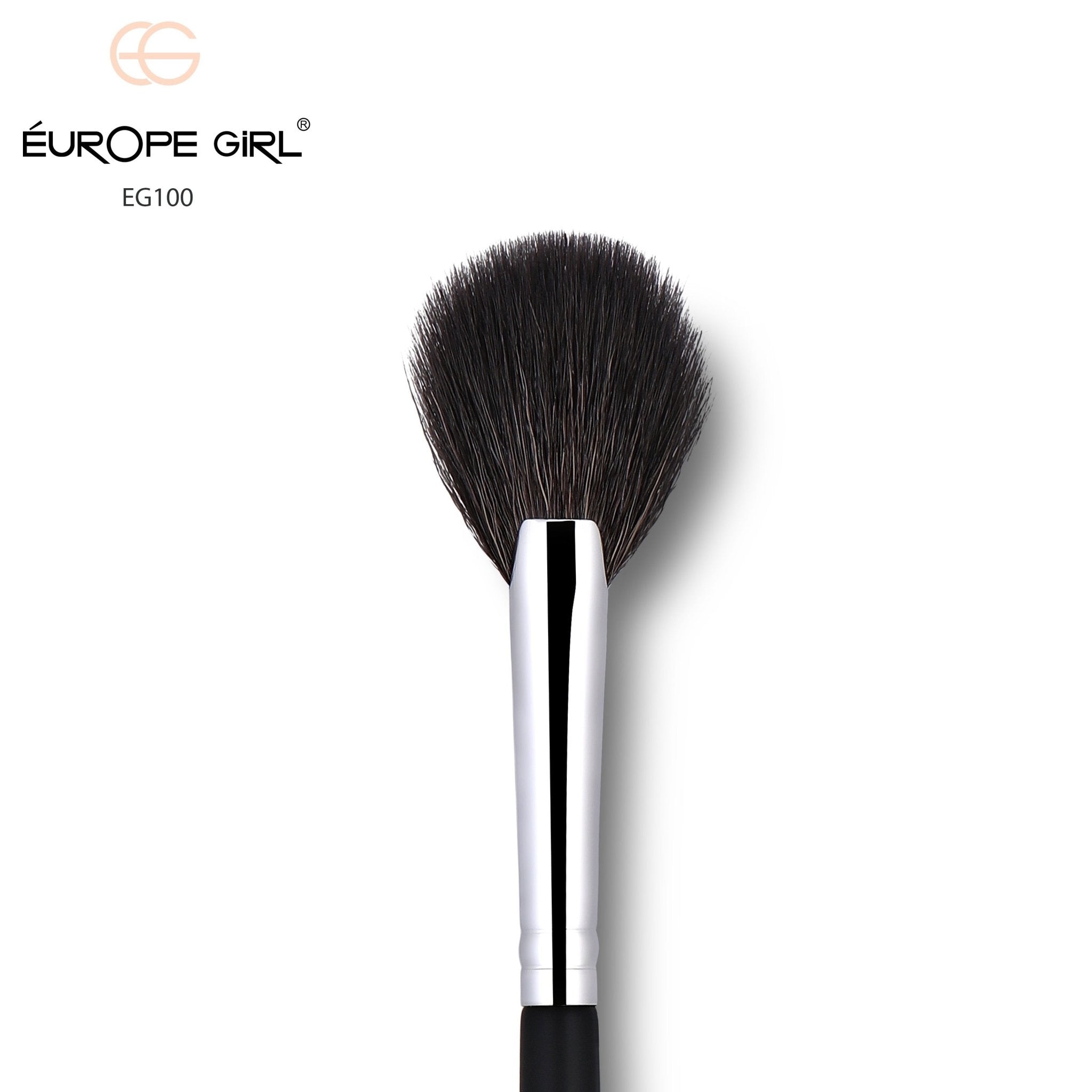 100 Medium Fan Brush / Highlight Brush