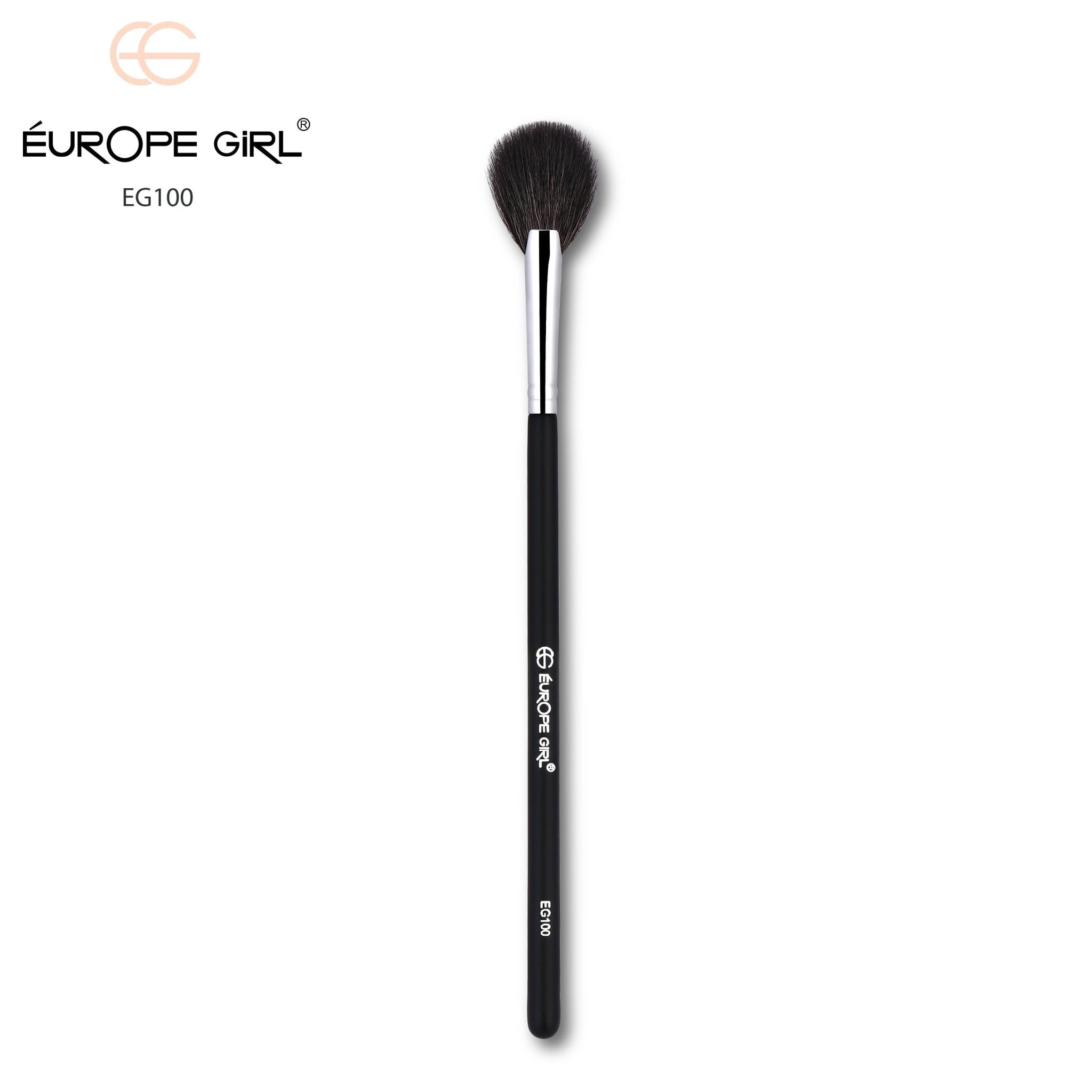 100 Medium Fan Brush / Highlight Brush