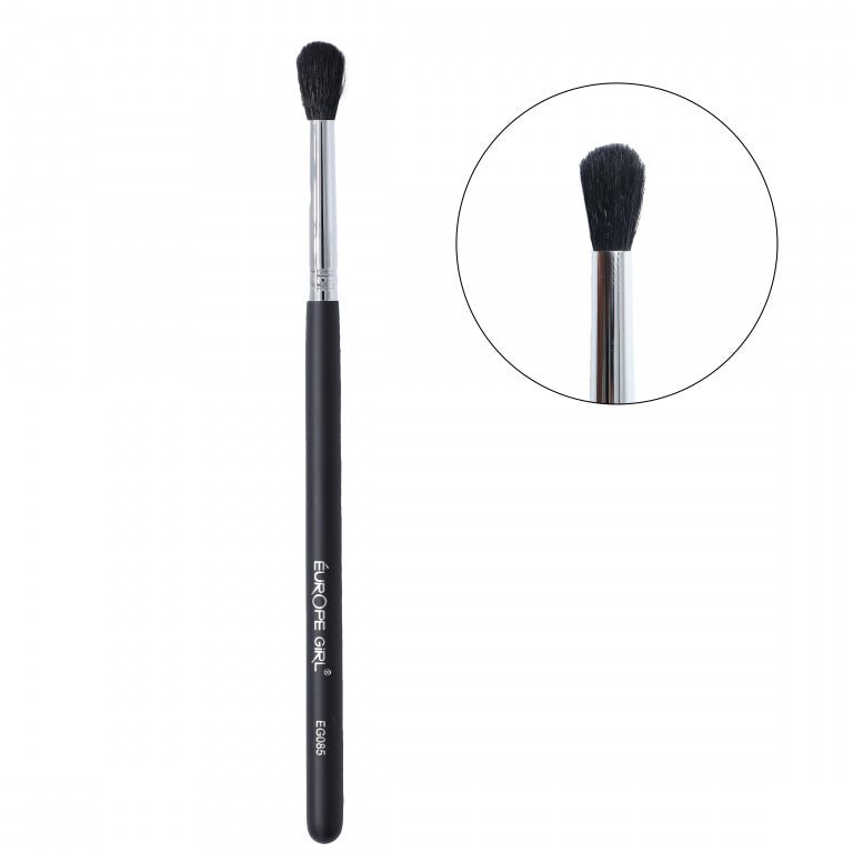 Professional Eye Makeup Brushes Set of 10 Pcs